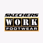 SKETCHERS